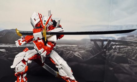 RG Red Frame Astray